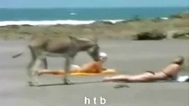 Kaki jangan duduk aw ...