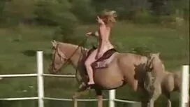 Cinta di pagi hari s ...