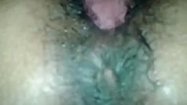 Pemerkosaan batang p ...